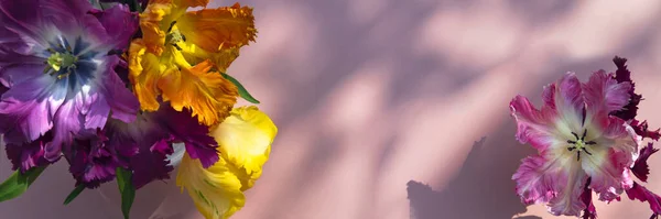 Ein Bündel Tulpen im Papageienstil — Stockfoto