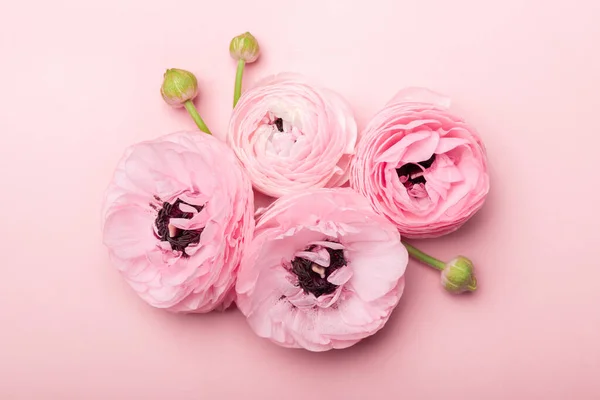 Arranjos florais de flores de ranúnculo concurso — Fotografia de Stock