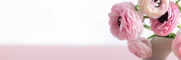 Tender ranunculus bloemen in keramische vaas — Stockfoto