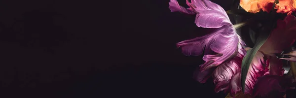 オウムのスタイルのチューリップの束 — ストック写真
