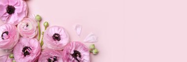 Çiçek aranjmanları, taze ranunculus çiçekleri.