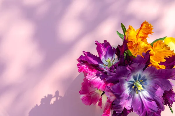 Ein Bündel Tulpen im Papageienstil — Stockfoto