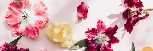 Ramo de tulipanes estilo loro — Foto de Stock