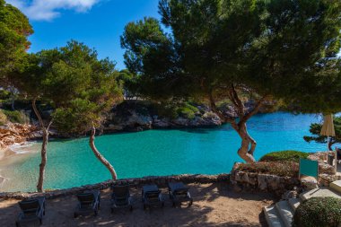 Palma 'da masmavi suları olan sahil.