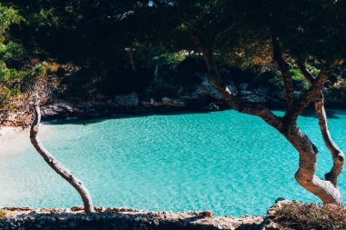 Palma 'da masmavi suları olan sahil.