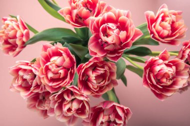 Papağan Lalelerinden Çiçek Buketi