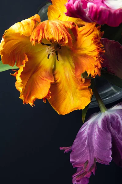 Ein Bündel Tulpen im Papageienstil — Stockfoto