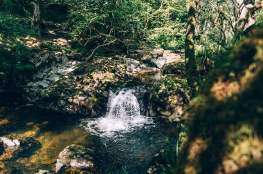 Ullswater yakınlarındaki Aira Force 'da şelale.