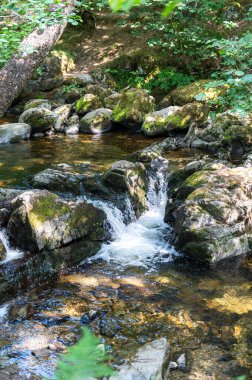 Ullswater yakınlarındaki Aira Force 'da şelale.