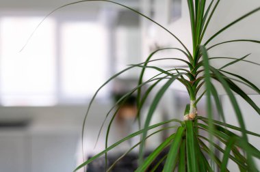 yeni modern bir mutfak