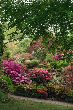 Baharda çiçek açan ağaçlarla dolu bir bahçe