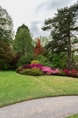 Baharda çiçek açan ağaçları olan güzel bir bahçe.