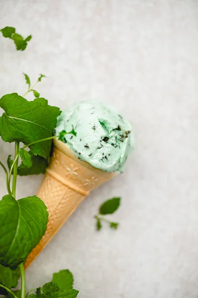 Nane choc chip dondurma — Stok fotoğraf