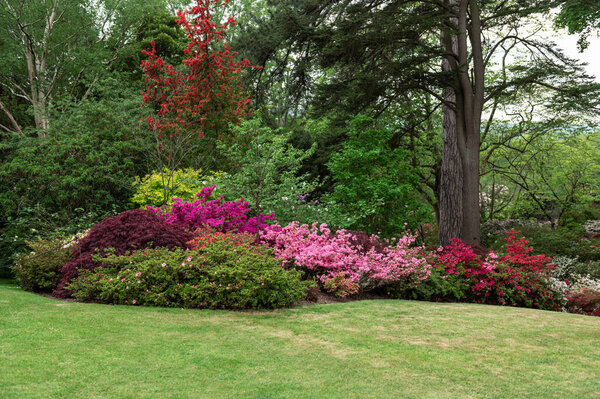 Garden with blooming trees during spring time