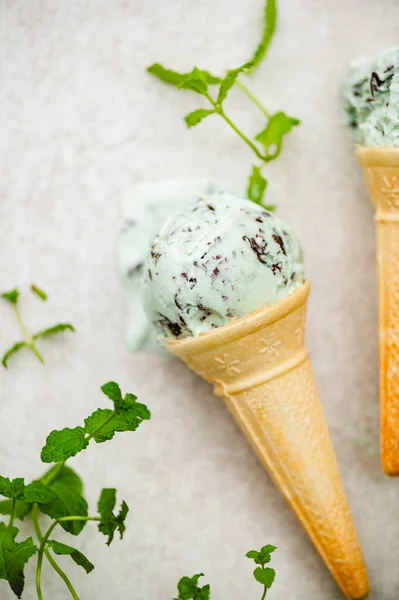 Mint Choc Chip sorvete — Fotografia de Stock