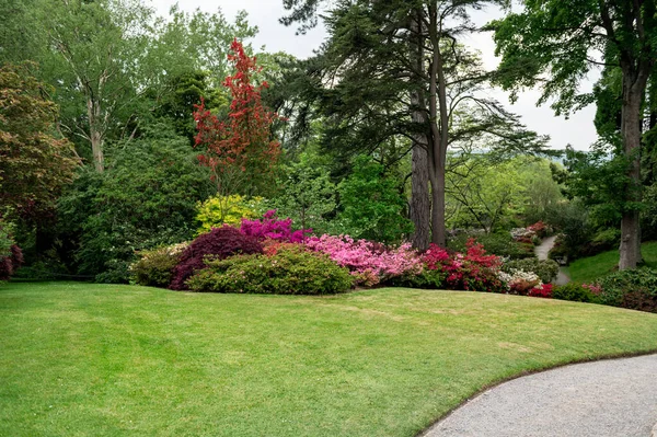 Baharda çiçek açan ağaçları olan güzel bir bahçe.