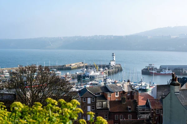 Scarborough Güney Körfezi Sahili