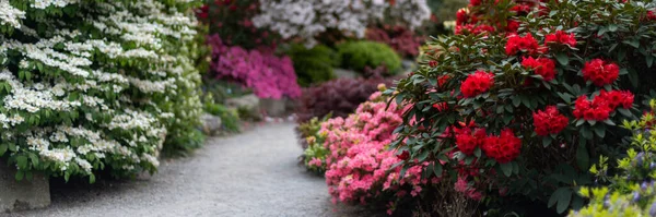 Jardim com árvores florescentes durante a primavera — Fotografia de Stock