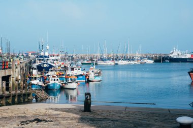 Scarborough Güney Körfezi Sahili