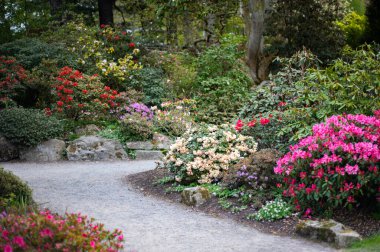 Baharda çiçek açan ağaçlarla dolu bir bahçe