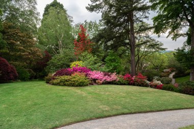 Baharda çiçek açan ağaçları olan güzel bir bahçe.