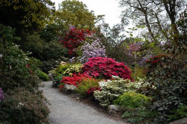 Baharda çiçek açan ağaçlarla dolu bir bahçe