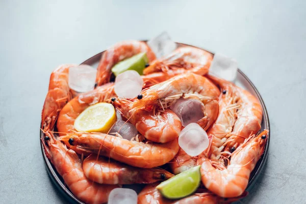 Okyanus kralı karidesleri ya da dev karidesler