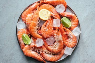 Okyanus kralı karidesleri ya da dev karidesler