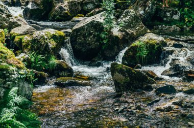 Aber Falls veya Galler 'de Rhaeadr Fawr