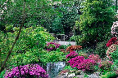 Baharda çiçek açan ağaçlarla dolu bir bahçe