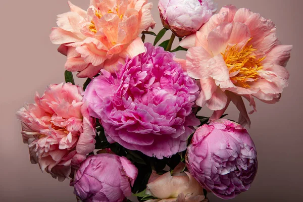 Pembe arka planda farklı pembe renklerde bir demet taze şakayık. Kart Kavramı, metin için boşluk kopyala