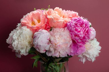 Koyu pembe arka planda farklı pembe renklerde bir demet taze şakayık. Kart Kavramı, metin için boşluk kopyala