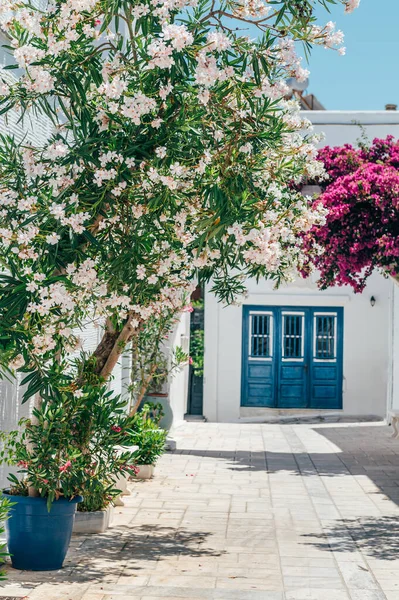 Streets Village Pyrgos Cycladic Houses Bougainvillea Flowers Tree Tinos Island — Stockfoto