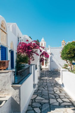 Streets of village of Pyrgos with Cycladic houses and the Bougainvillea flowers tree on Tinos island, Cyclades, Greece