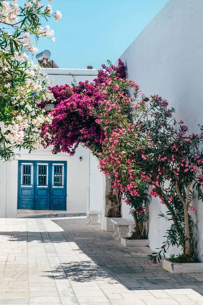 Streets Village Pyrgos Cycladic Houses Bougainvillea Flowers Tree Tinos Island — Stockfoto