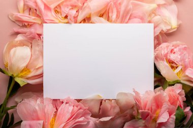 Empty open notebook for writing dreams and wishes. Beautiful pink peonies and petals nearby as a frame. Light pink background with copy space for text. Card Concept