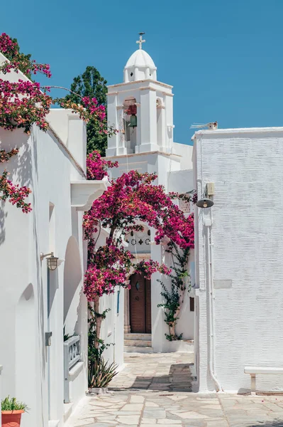 Streets of village of Pyrgos with Cycladic houses and the Bougainvillea flowers tree on Tinos island, Cyclades, Greece