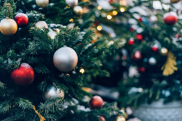 Christmas New Year Time Amazing Xmas Decorations Pine Trees Real — Stockfoto