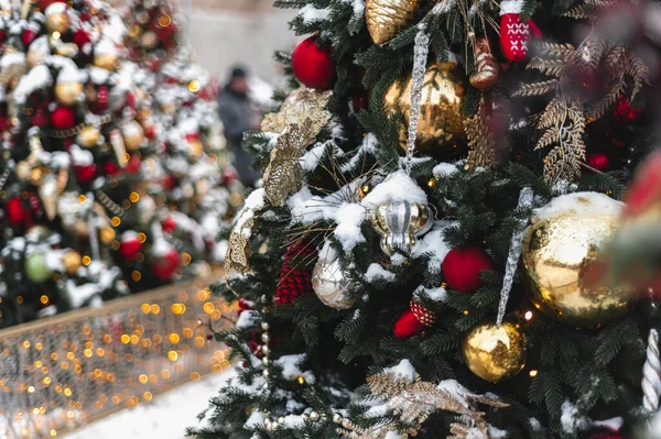 Christmas New Year Time Amazing Xmas Decorations Pine Trees Real — Stockfoto