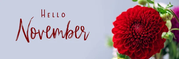 Bonjour Texte Novembre Beau Bouquet Fleurs Dahlia Sur Fond Rose — Photo
