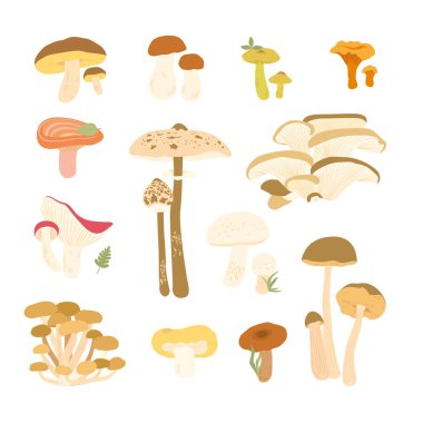 Beyaz arka planda mantar koleksiyonu. Mantar vektörü.