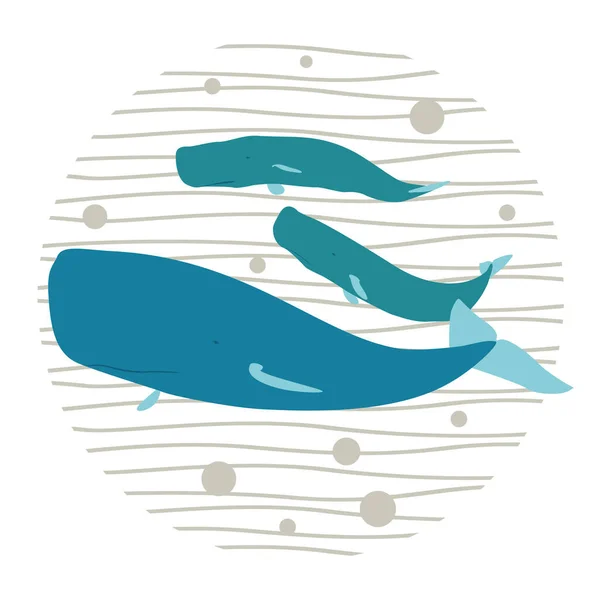 Basit bir arka planda Büyük Mavi balinalar.