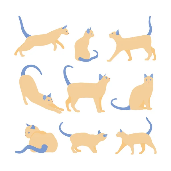 Farklı çizgi film kedileri seti. Basit düz vektör çizimi.