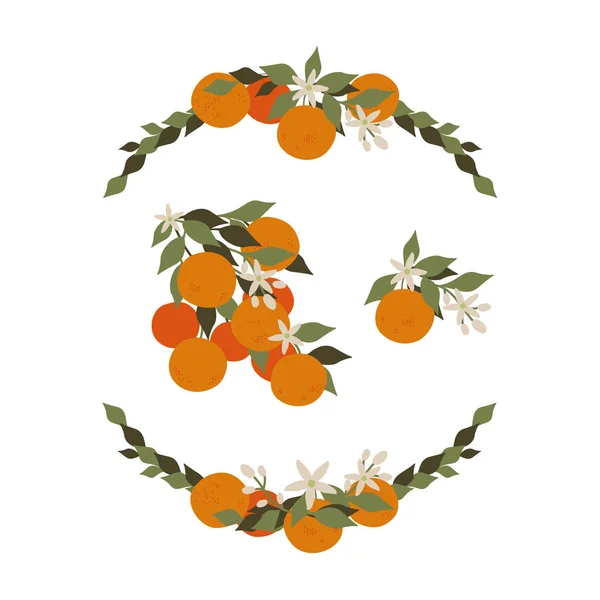Beyaz arka planda çiçekler ve yapraklarla mandalinalar. Mandalinalı çerçeve.