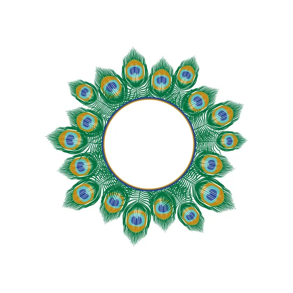 tavus kuşu tüylü yuvarlak çerçeve beyaz arkaplan.