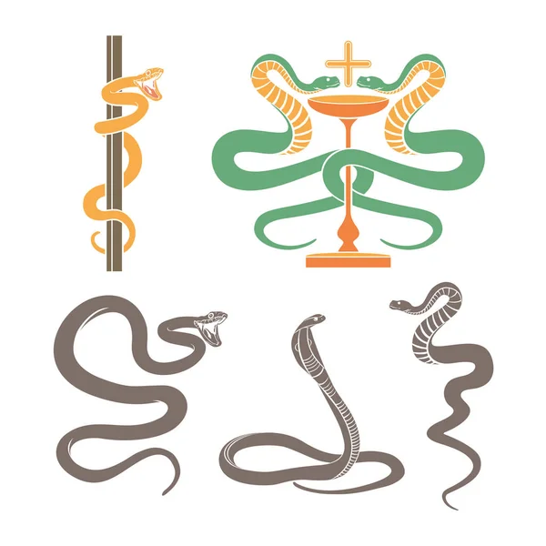Silueta Color Una Serpiente Sobre Fondo Blanco Serpientes Vectoriales Vectores De Stock Sin Royalties Gratis