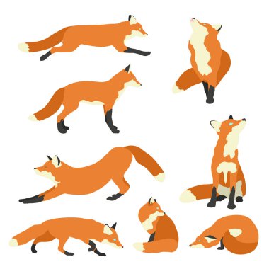 Farklı çizgi film tilkileri seti. Basit düz vektör çizimi