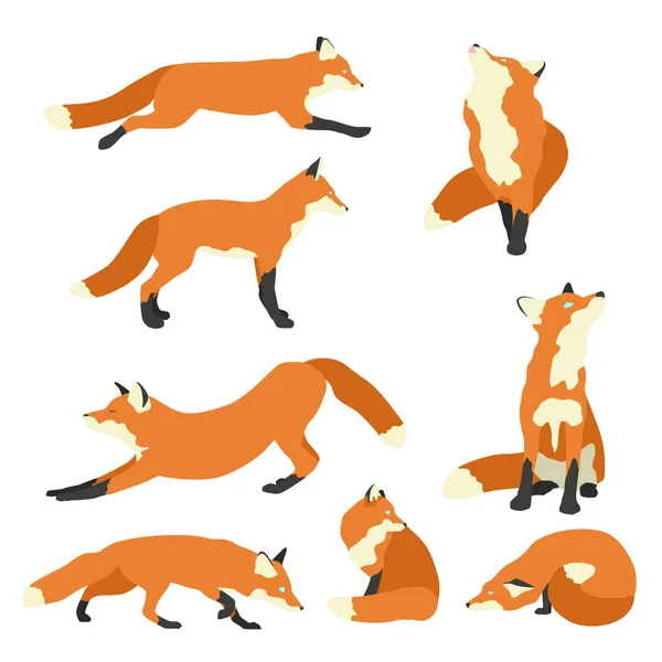 Farklı çizgi film tilkileri seti. Basit düz vektör çizimi