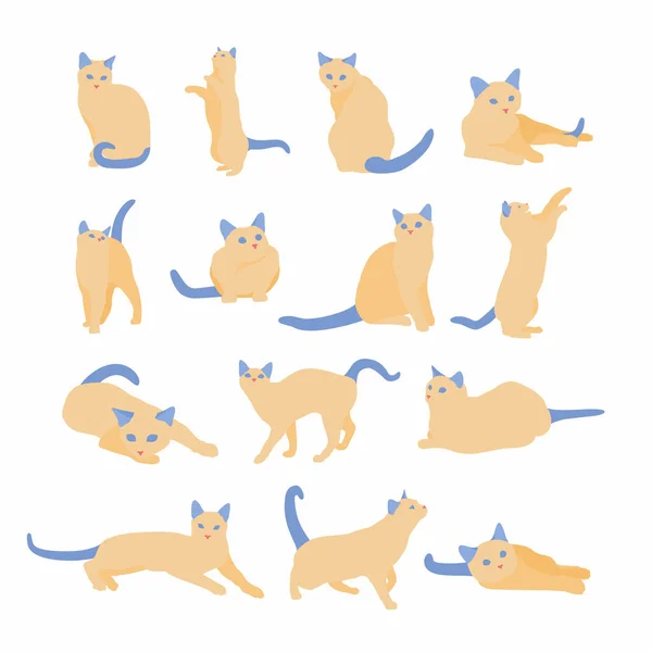 Farklı çizgi film kedileri seti. Basit düz vektör çizimi