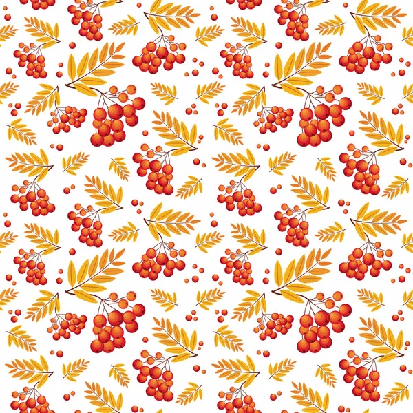 Böğürtlenli Rowan dalı, tasarım için kusursuz desen, vektör